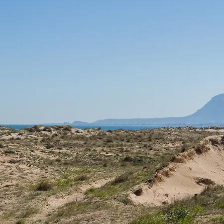 Par3 Oliva